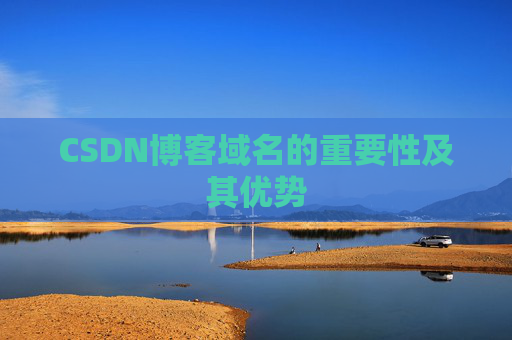 CSDN博客域名的重要性及其优势